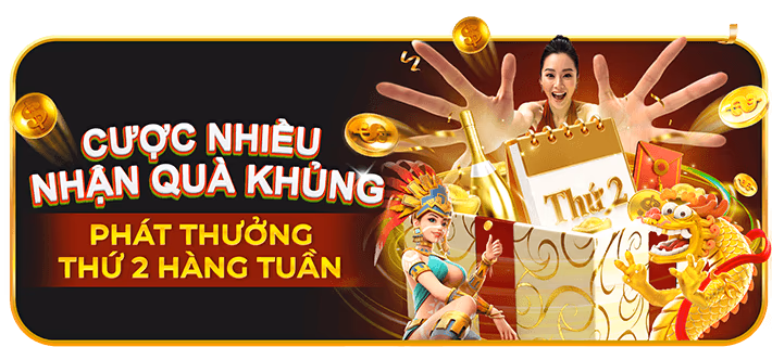 Hình ảnh chiến kê đang thi đấu trên đấu trường đá gà casino trực tiếp