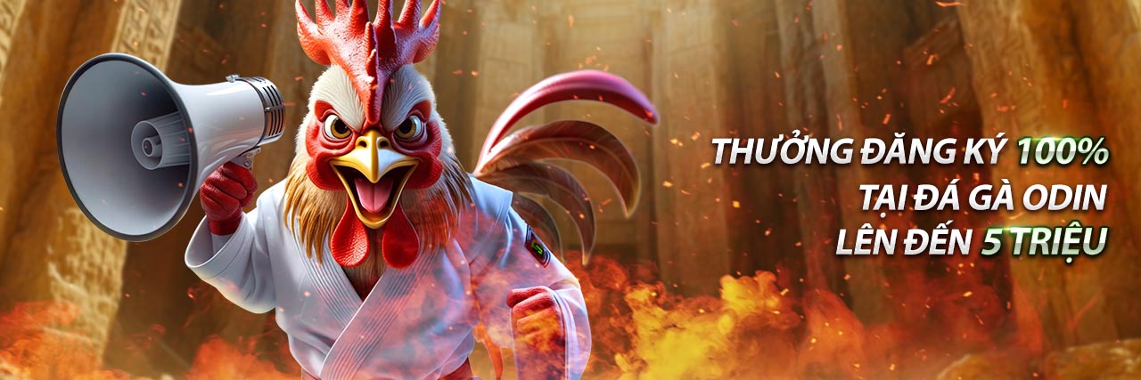 Hình ảnh giấy phép hoạt động của một nền tảng cá cược uy tín