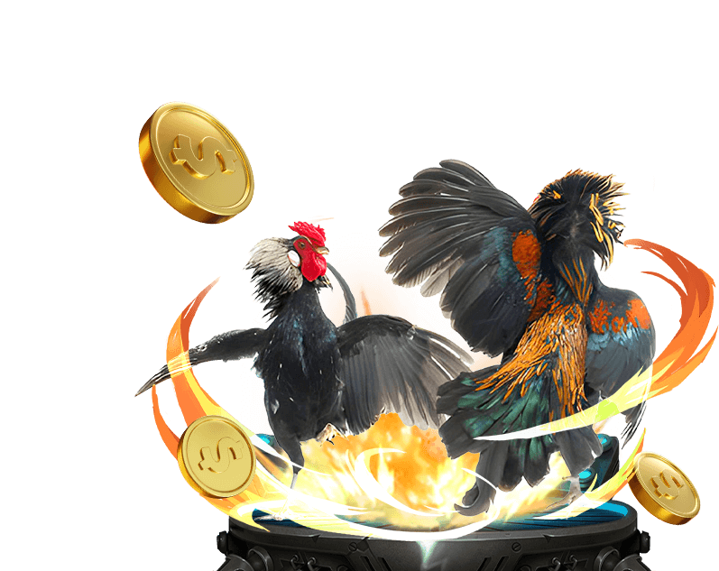 Giao diện nạp rút tiền nhanh chóng và an toàn tại Sinbet, hỗ trợ người chơi đá gà trực tiếp casino hôm nay với nhiều phương thức thanh toán.