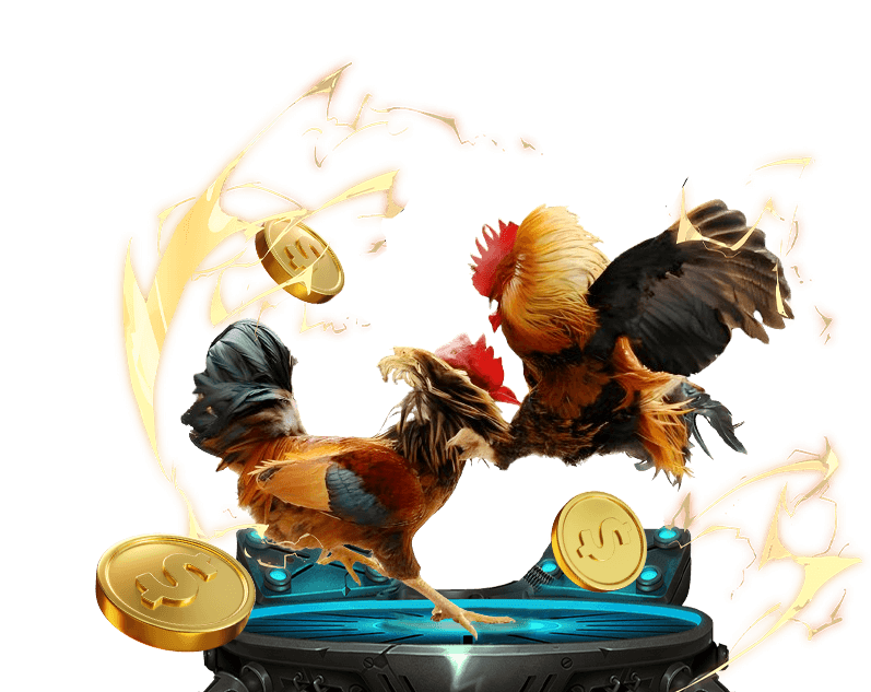 Trải nghiệm xem và cá cược đá gà casino trực tiếp tại Sinbet với chất lượng hình ảnh HD sắc nét và âm thanh sống động, không bỏ lỡ khoảnh khắc nào.