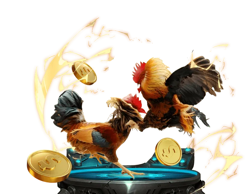 Đá gà casino trực tiếp